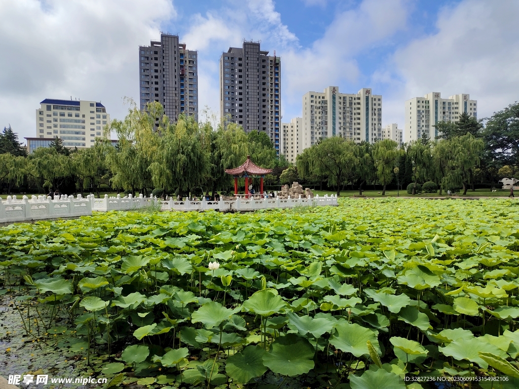 城市风景