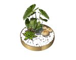 植物小盆栽模型