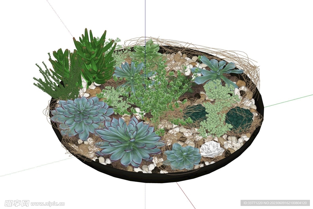一盆多肉植物模型