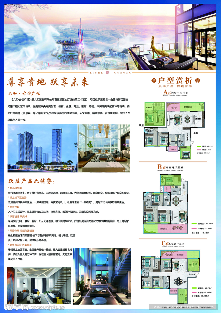 dm单背面