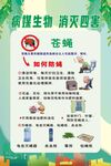 消灭四害苍蝇