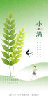 小清新传统24节气小满海报