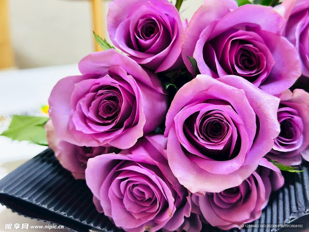 玫瑰花