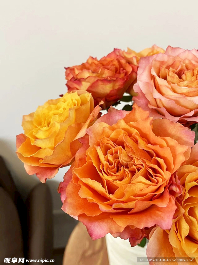 玫瑰花