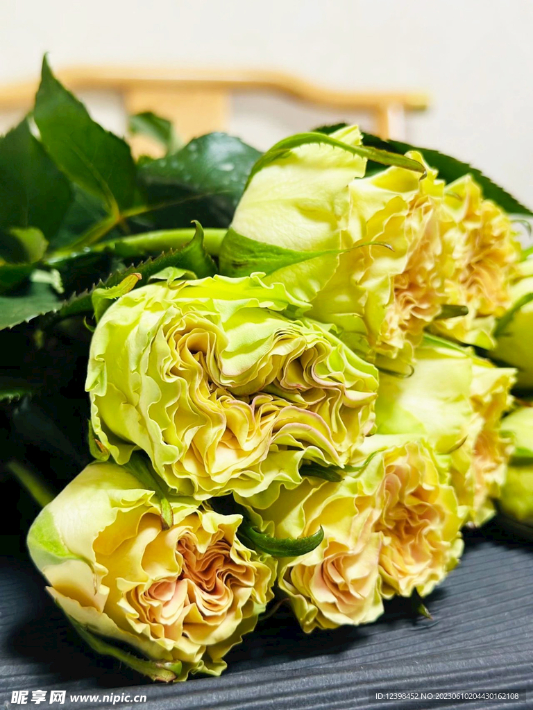 玫瑰花