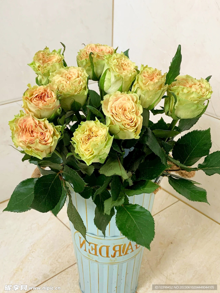 玫瑰花