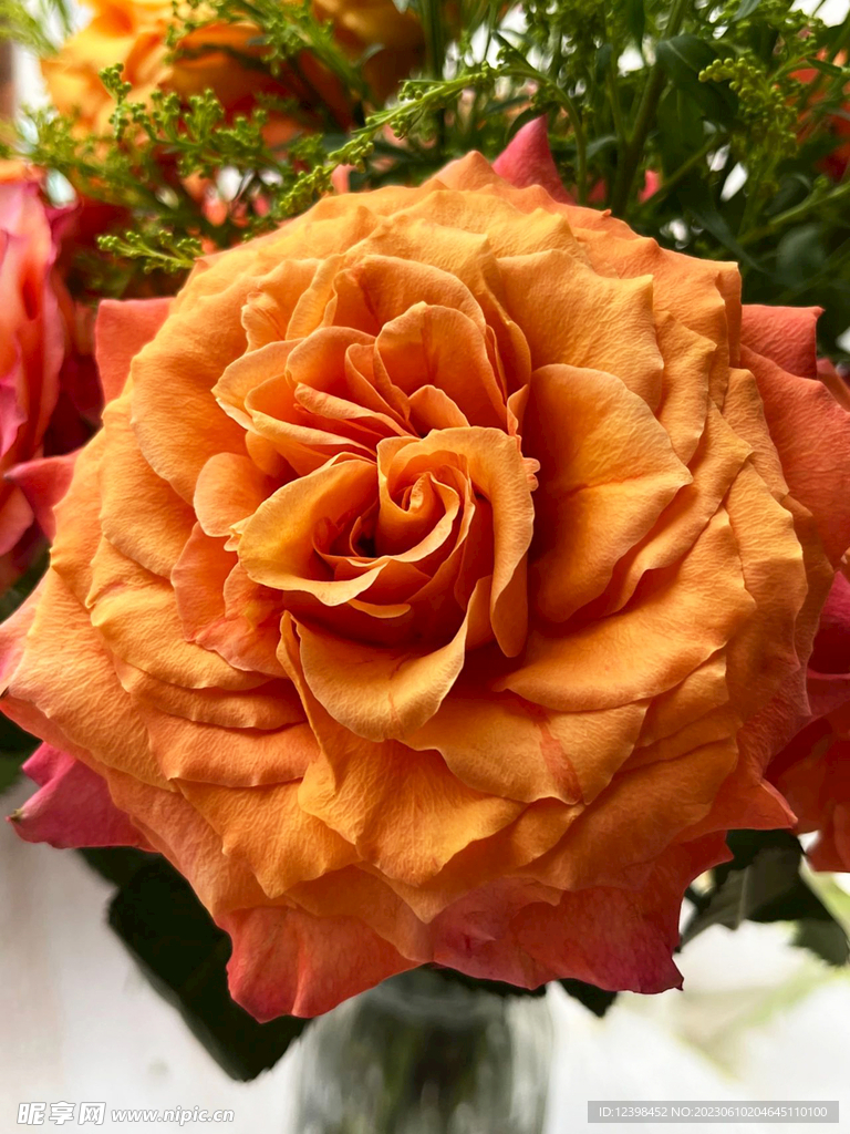 玫瑰花