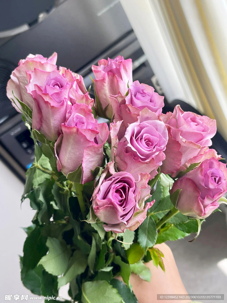 玫瑰花