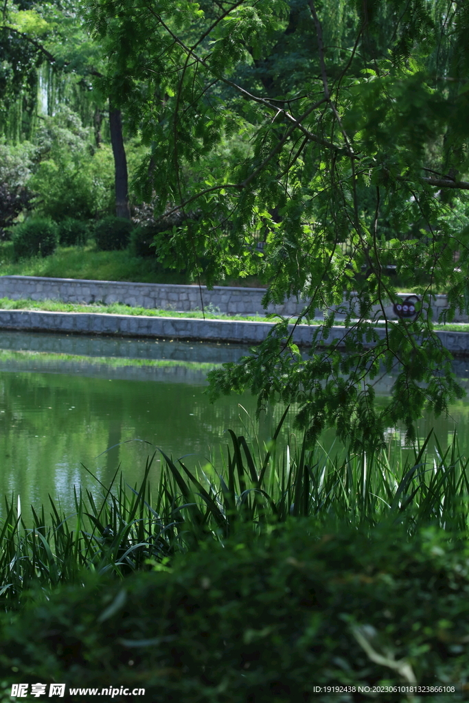 陶然亭风景