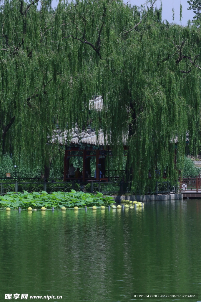 陶然亭风景 