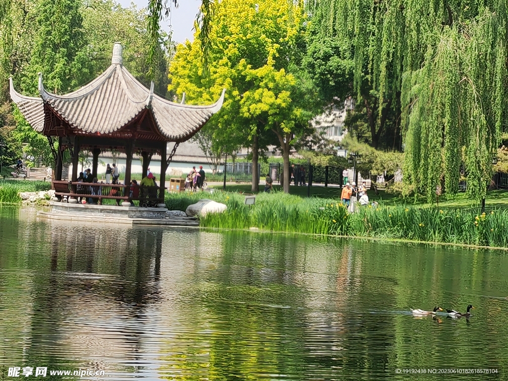 陶然亭风景 