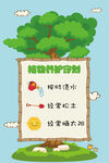 植物种植  树   