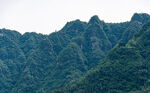青山