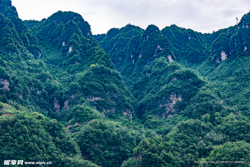 青山