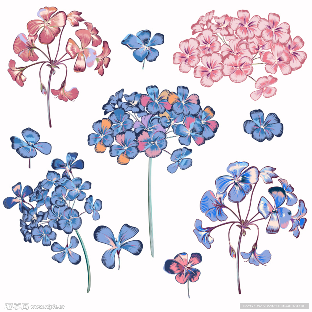 手绘花卉