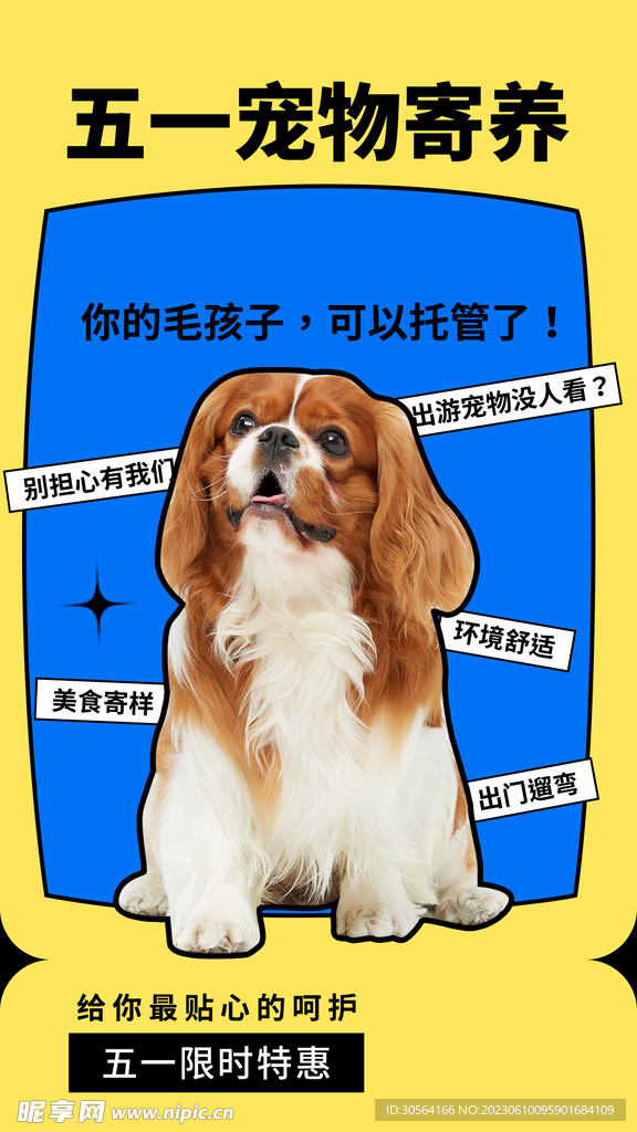 五一宠物寄养