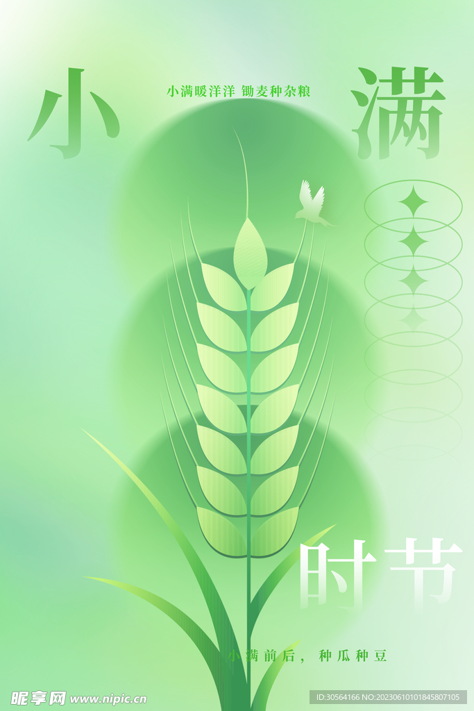 小满