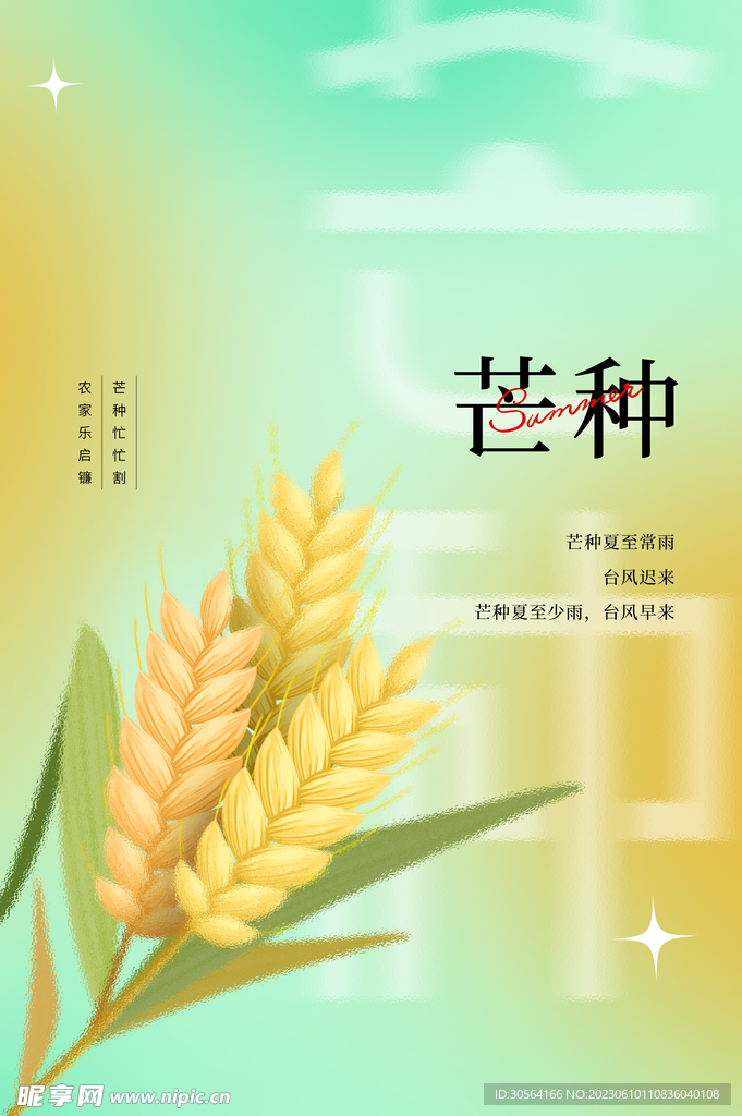 芒种