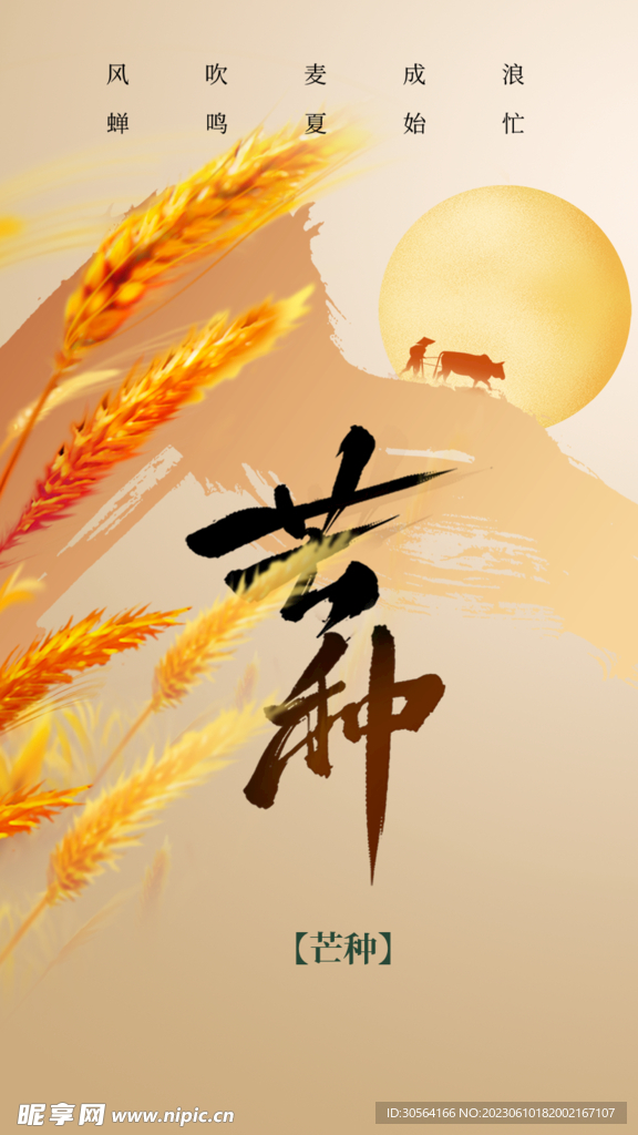 芒种