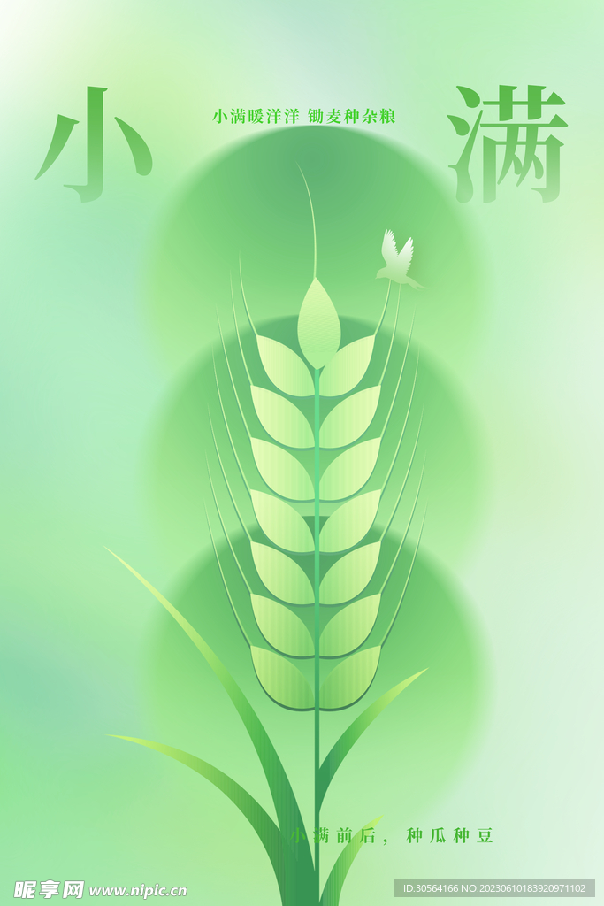 小满