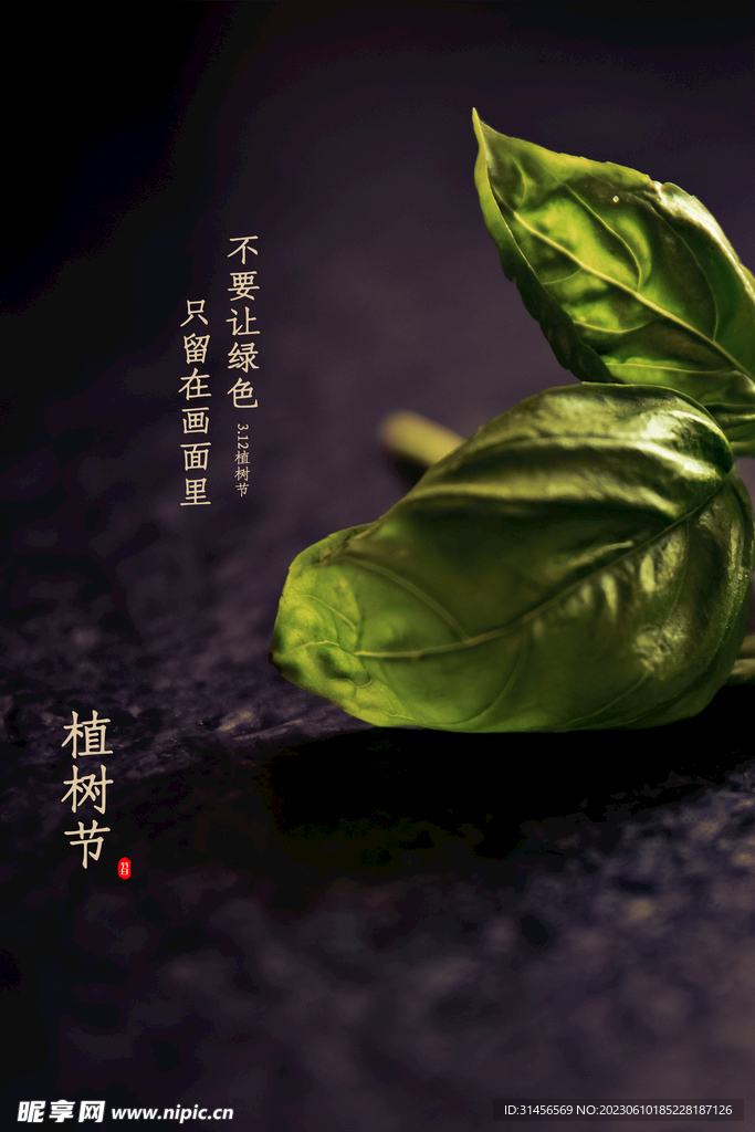 植树节