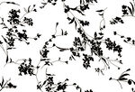 黑白花 碎花