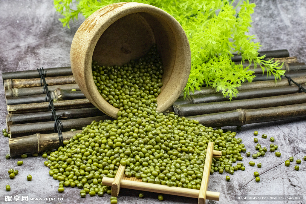 绿豆图片