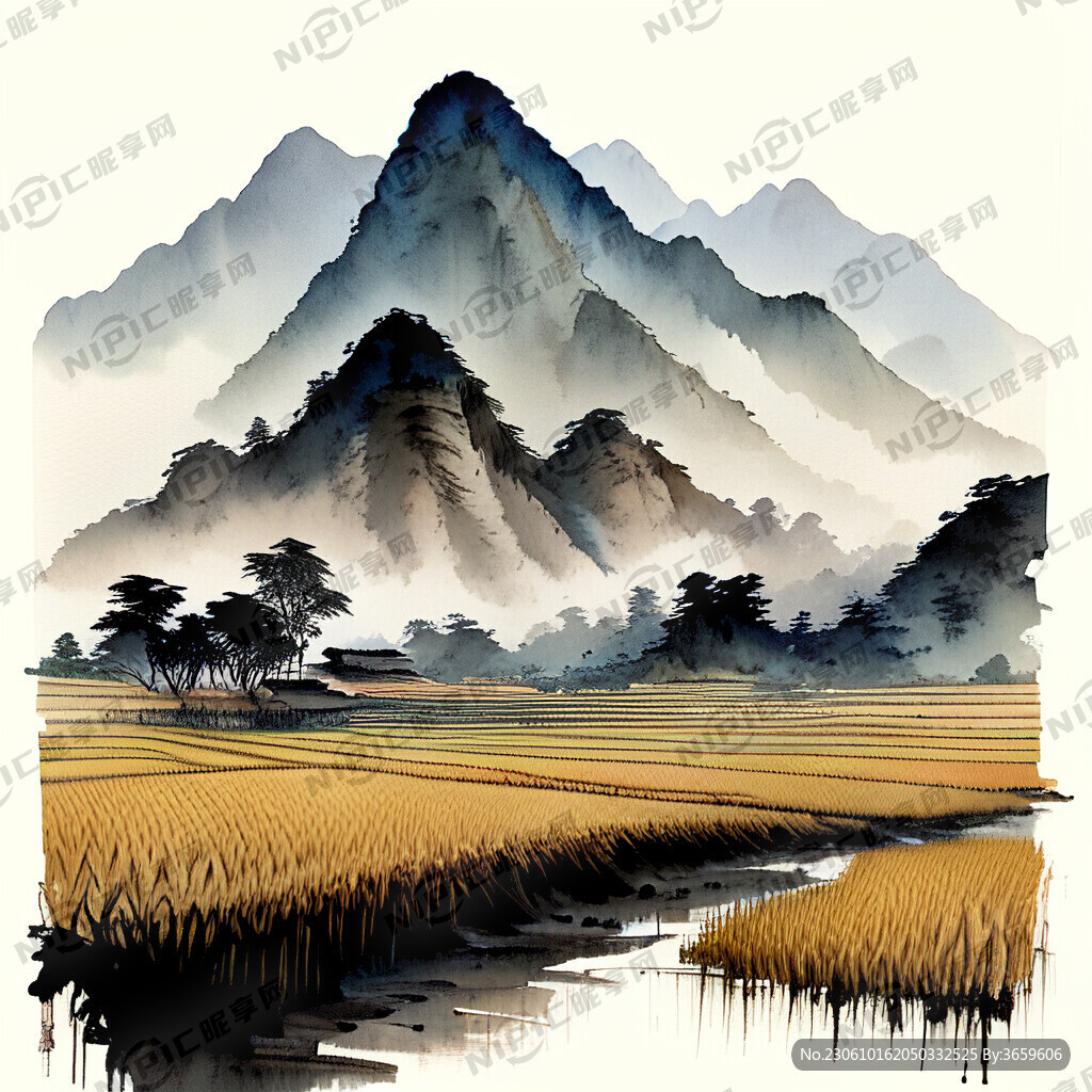 山区收割水稻