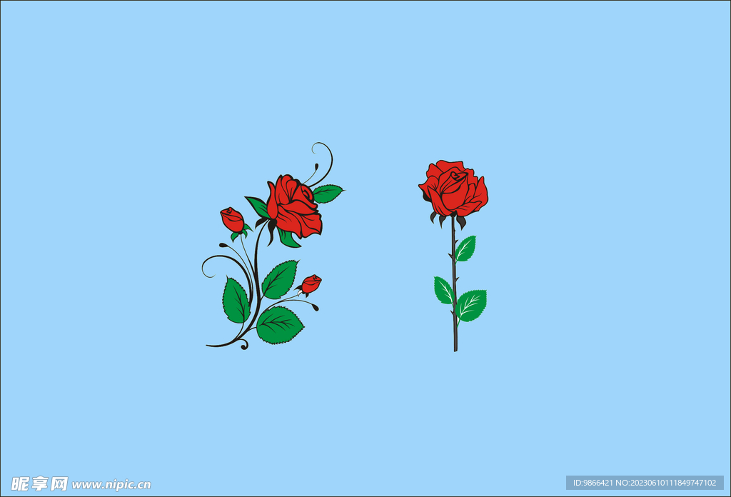 玫瑰花设计 玫瑰花手绘 