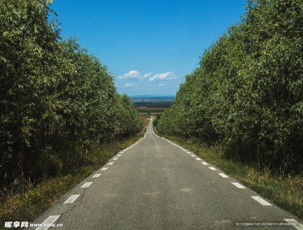 道路