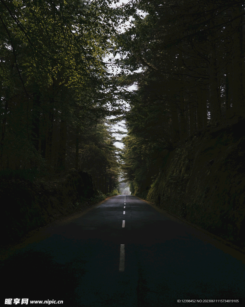 公路