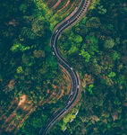 林区公路