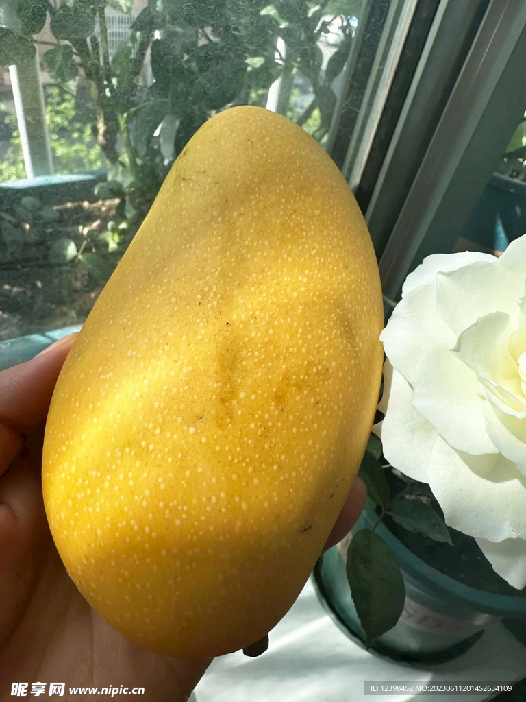 金辉芒