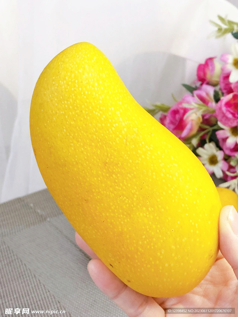 芒果 