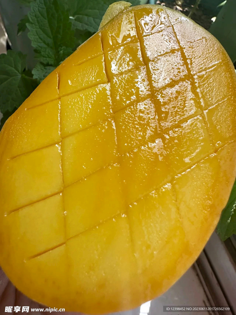 金辉芒