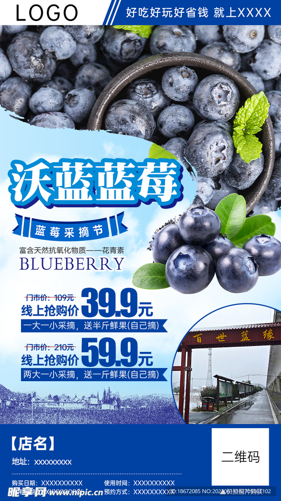 蓝莓采摘团购分销海报