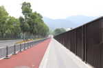 马路