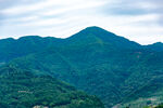 青山