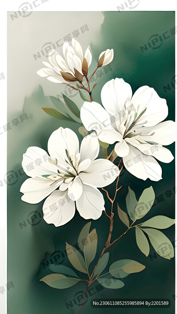 洋槐花 水彩 手绘 简约 绿白