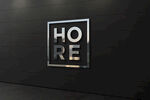LOGO样机