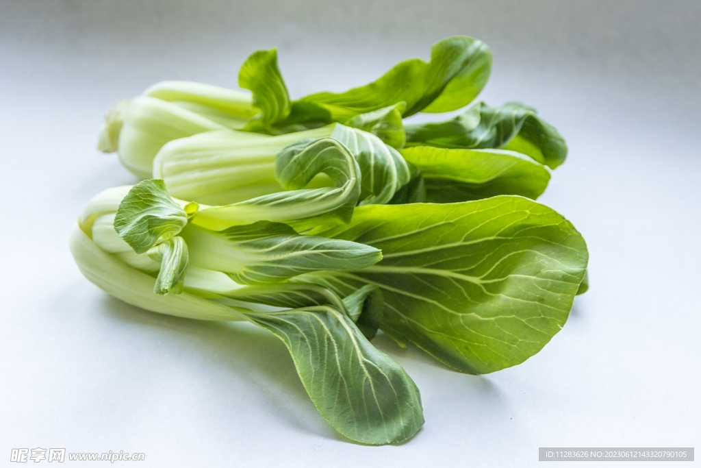 小青菜