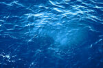 海底 海面 海水