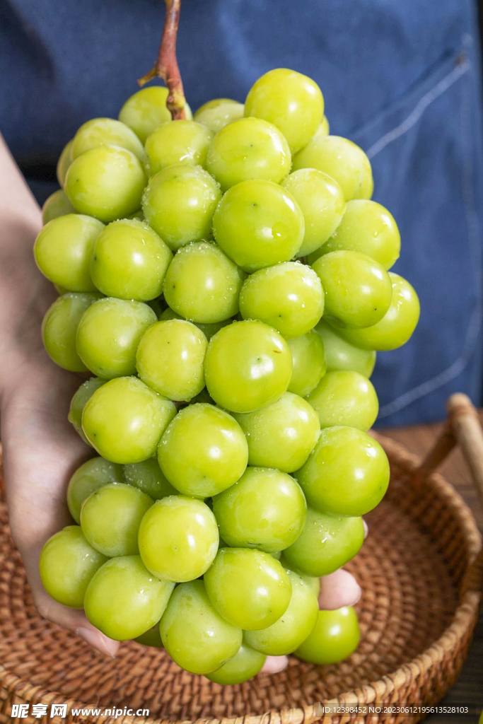 阳光葡萄