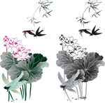 荷花 燕子