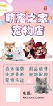 宠物店海报