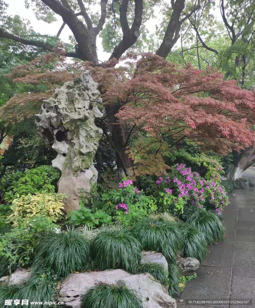 路上的风景