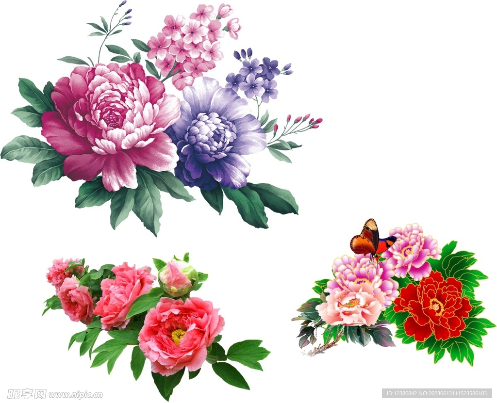 牡丹花