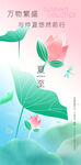 夏至创意节气海报