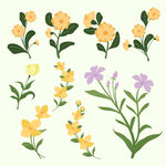 手绘花卉