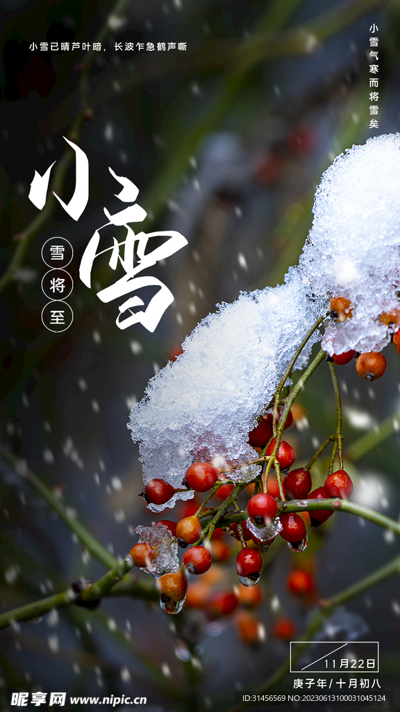 小雪